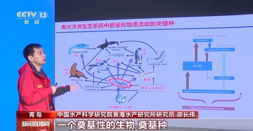 筑夢(mèng)南極丨如何給南極冰蓋做CT 揭開(kāi)那些藏在科考站里的科技奧秘